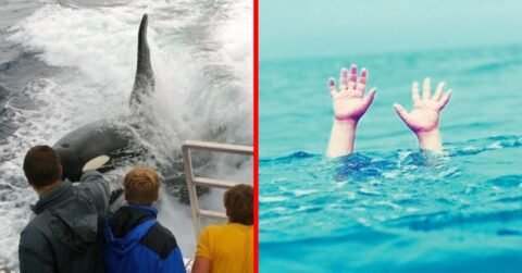 A 12 year old boy falls from the boat into the middle