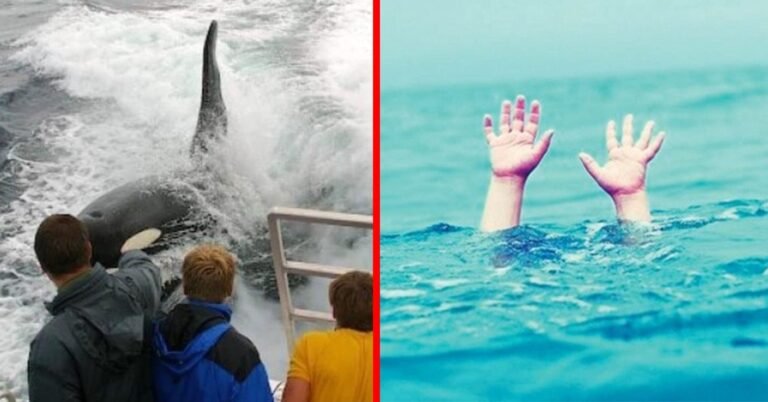 A 12 year old boy falls from the boat into the middle