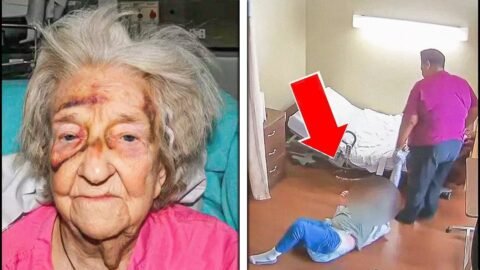 Grandma Keeps Falling Out of Wheelchair Family Installs Camera and Makes Shocking Discovery[1]