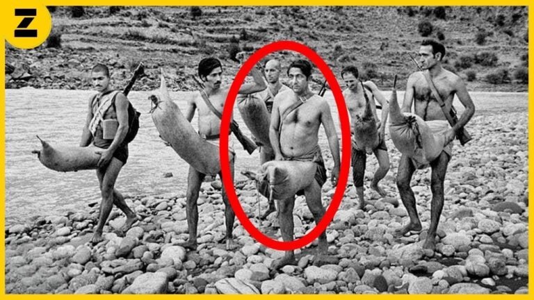 main qimg 03f3515c3ca365e93bd81254e33e2ca5.jpg