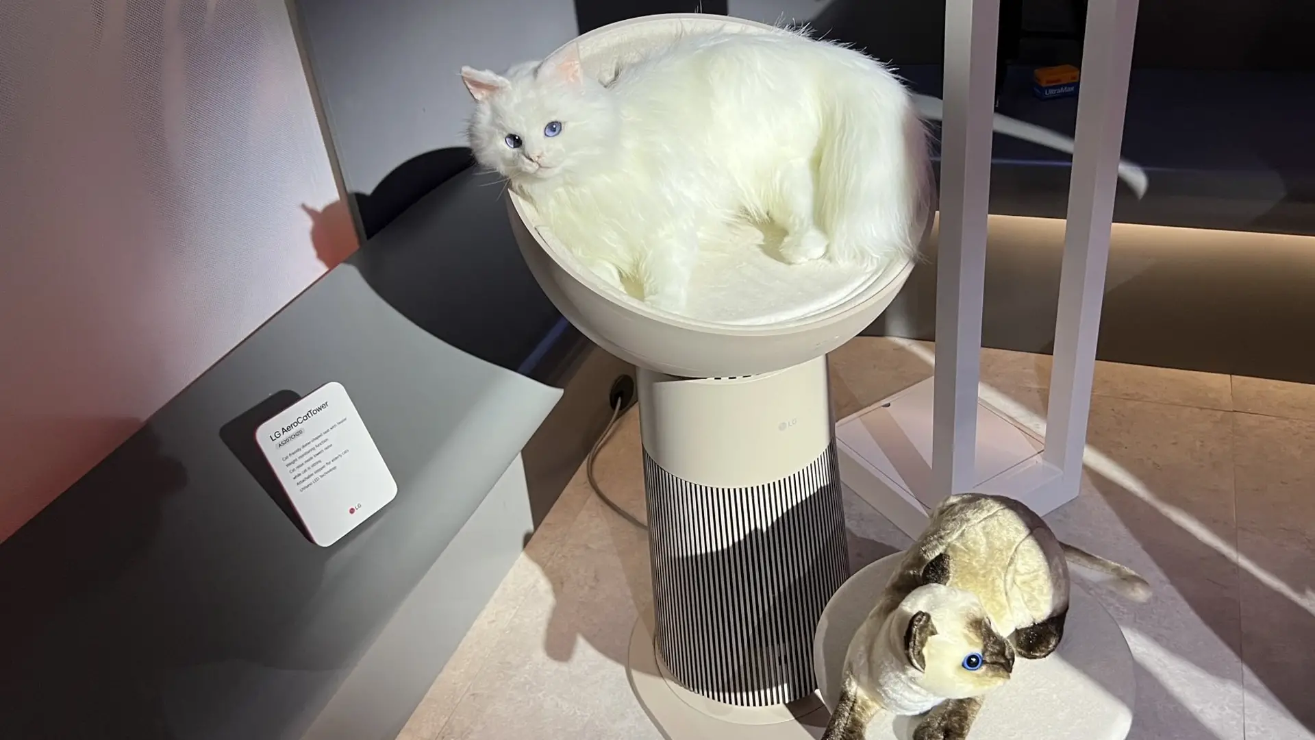 LG AeroCatTower.webp