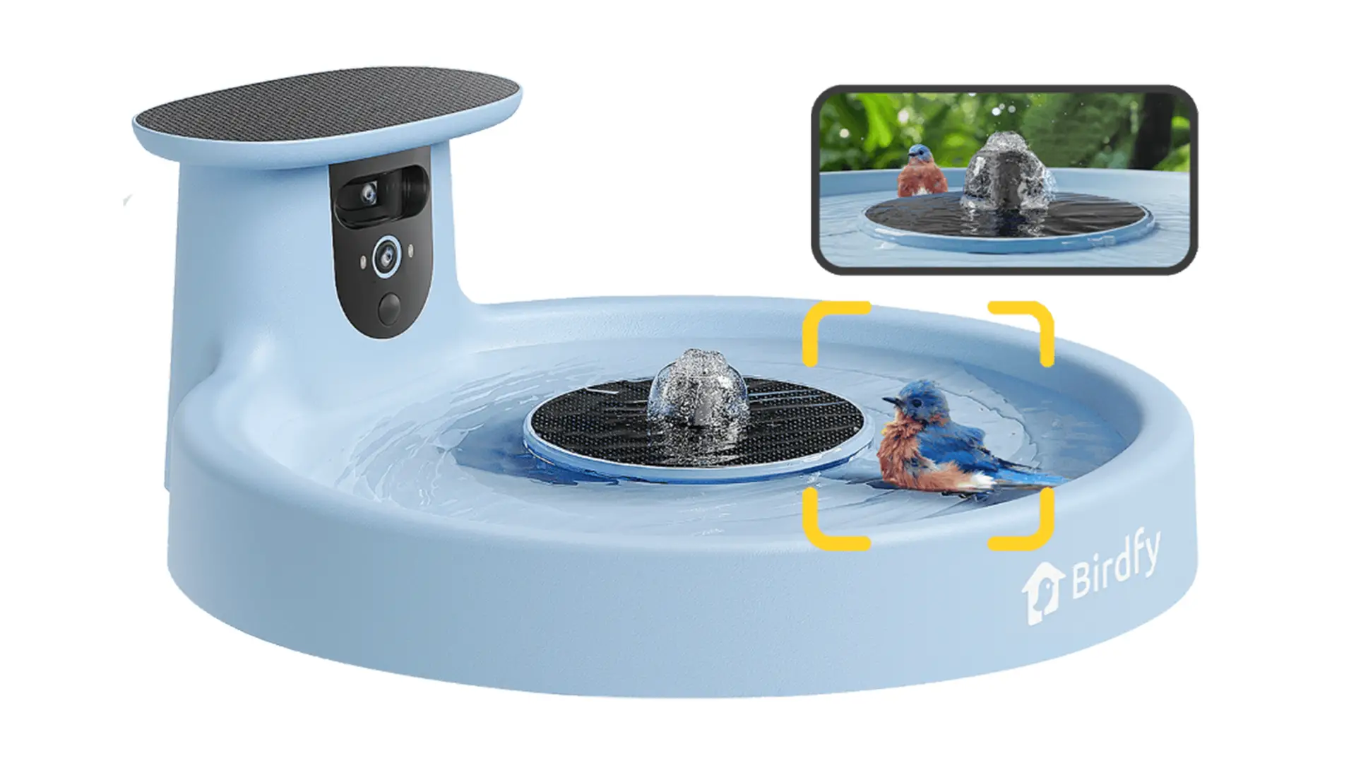 Birdfy Bath Pro : le bain d'oiseaux connecté
