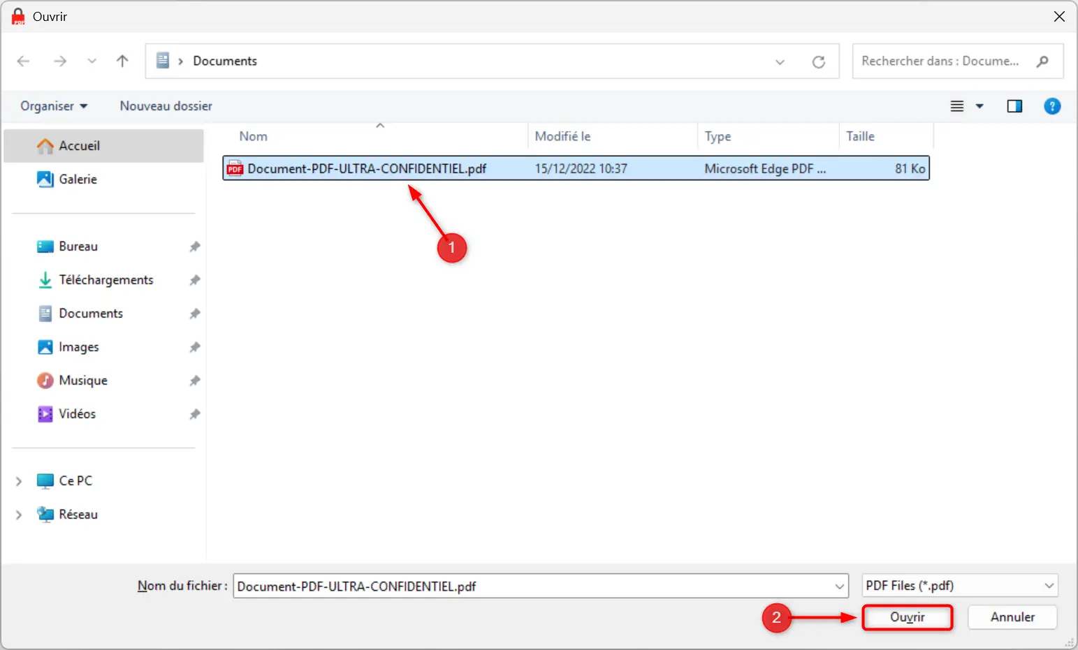 pdfencrypt selectionner fichier pdf.webp