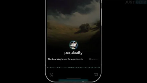 perplexity assistant ia.webp