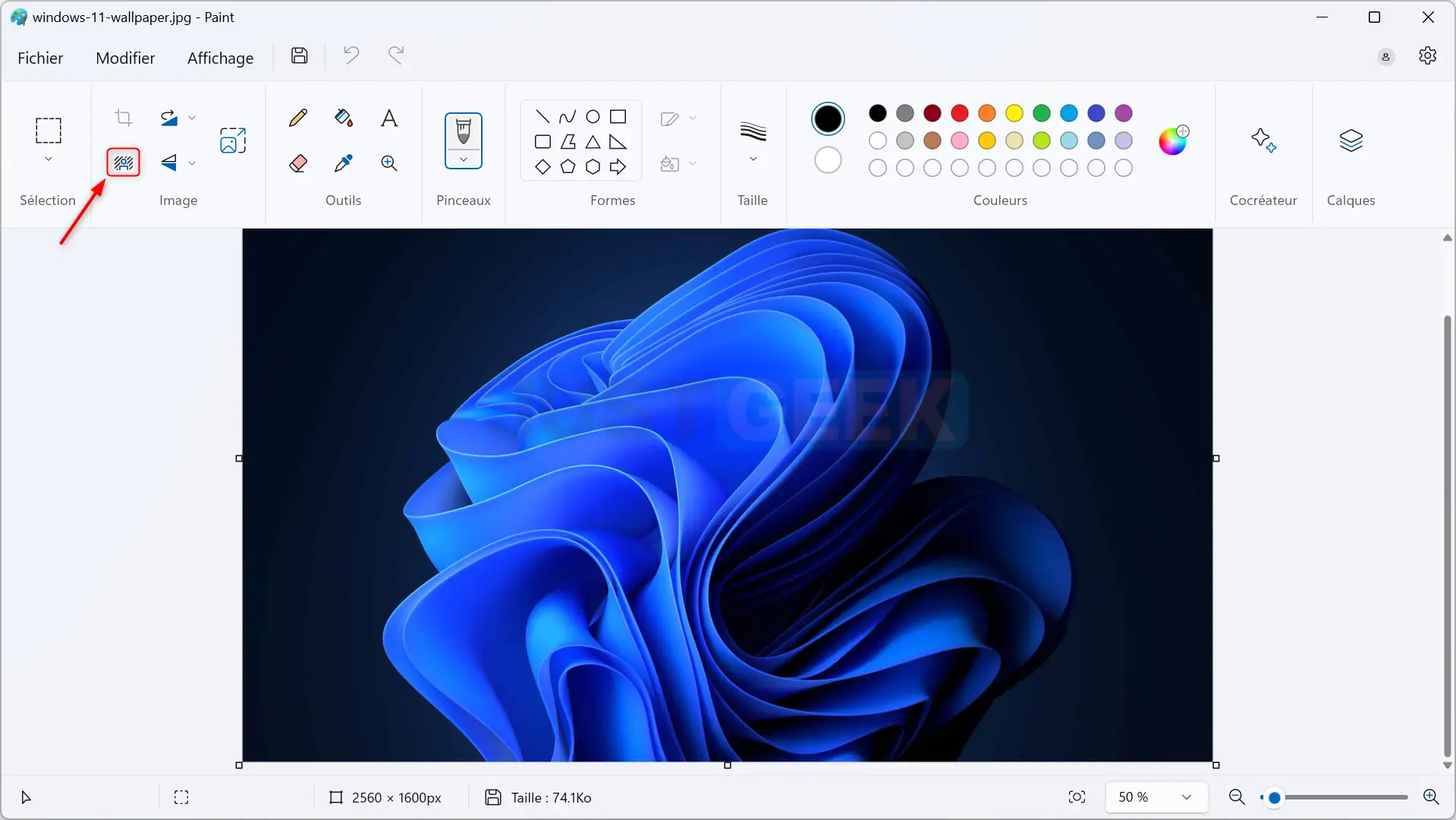 Fenêtre de l’application Paint sur Windows 11 avec l’option Supprimer l’arrière-plan sélectionnée dans la barre d’outils.