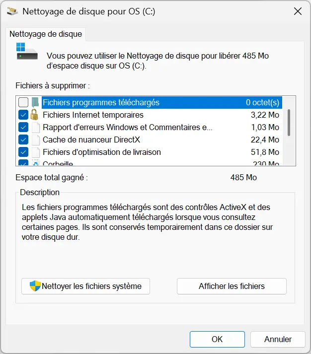 Capture du nettoyage du disque sur Windows 11 pour supprimer les fichiers temporaires