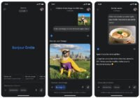 Google Gemini Application.jpg