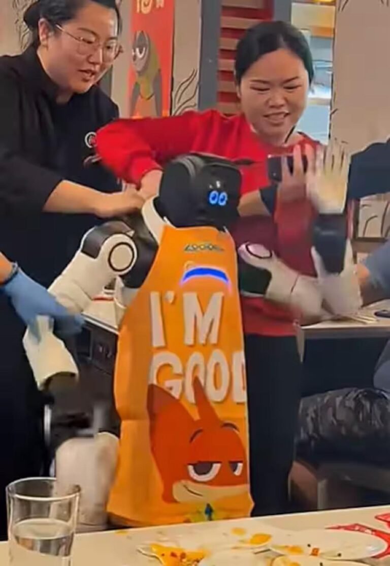 robot hors de controle .jpg