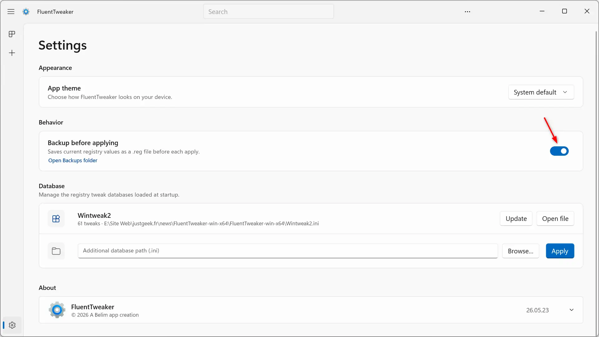 Paramètres FluentTweaker avec l'option de sauvegarde automatique du registre activée
