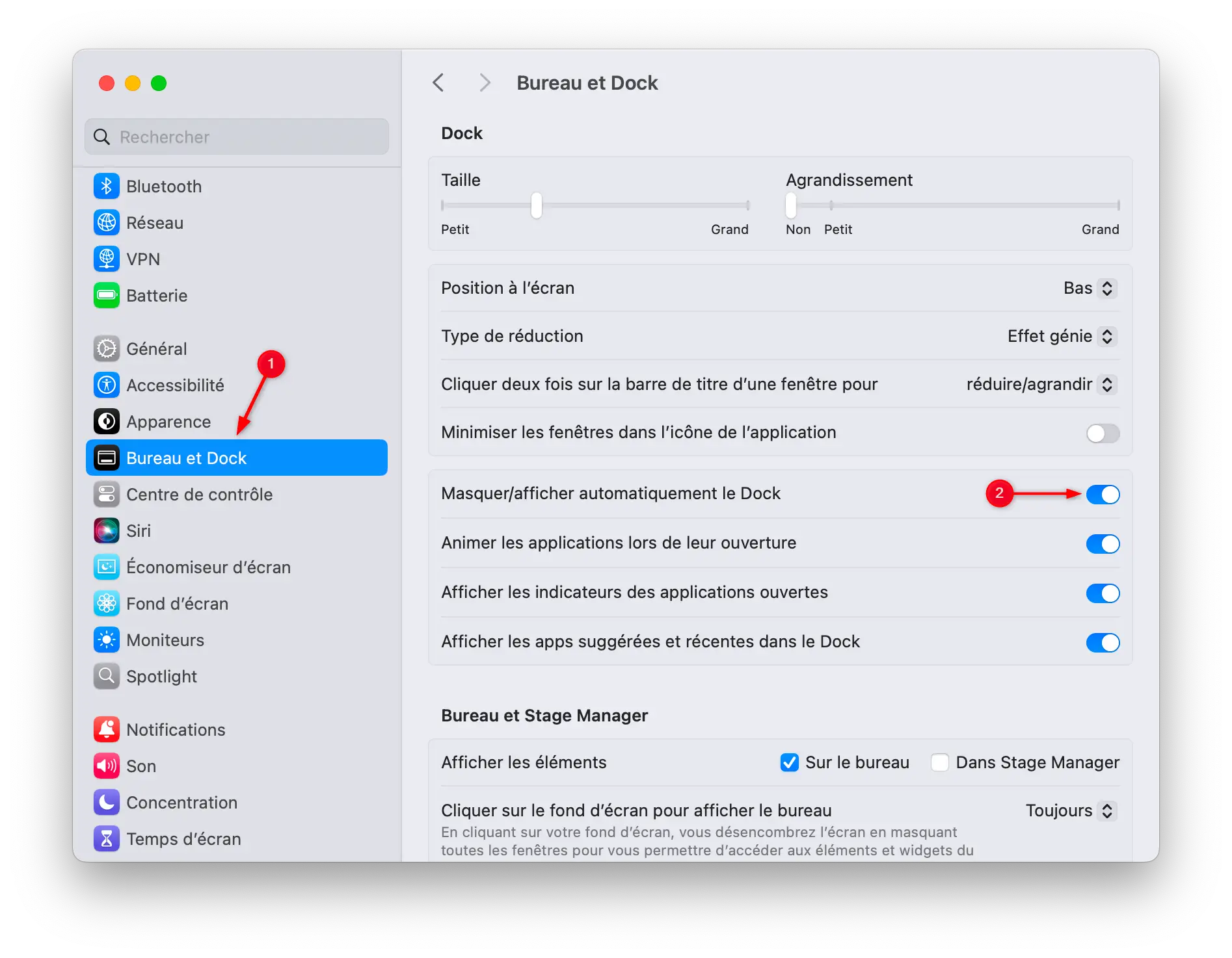 Capture d'écran des paramètres du système macOS montrant l'option permettant de masquer automatiquement le Dock