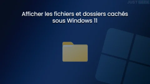 afficher fichiers dossiers caches windows 11.webp.webp