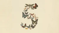 claude fable 5 anthropic.webp.webp