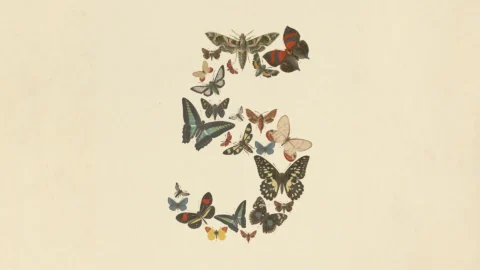 claude fable 5 anthropic.webp.webp