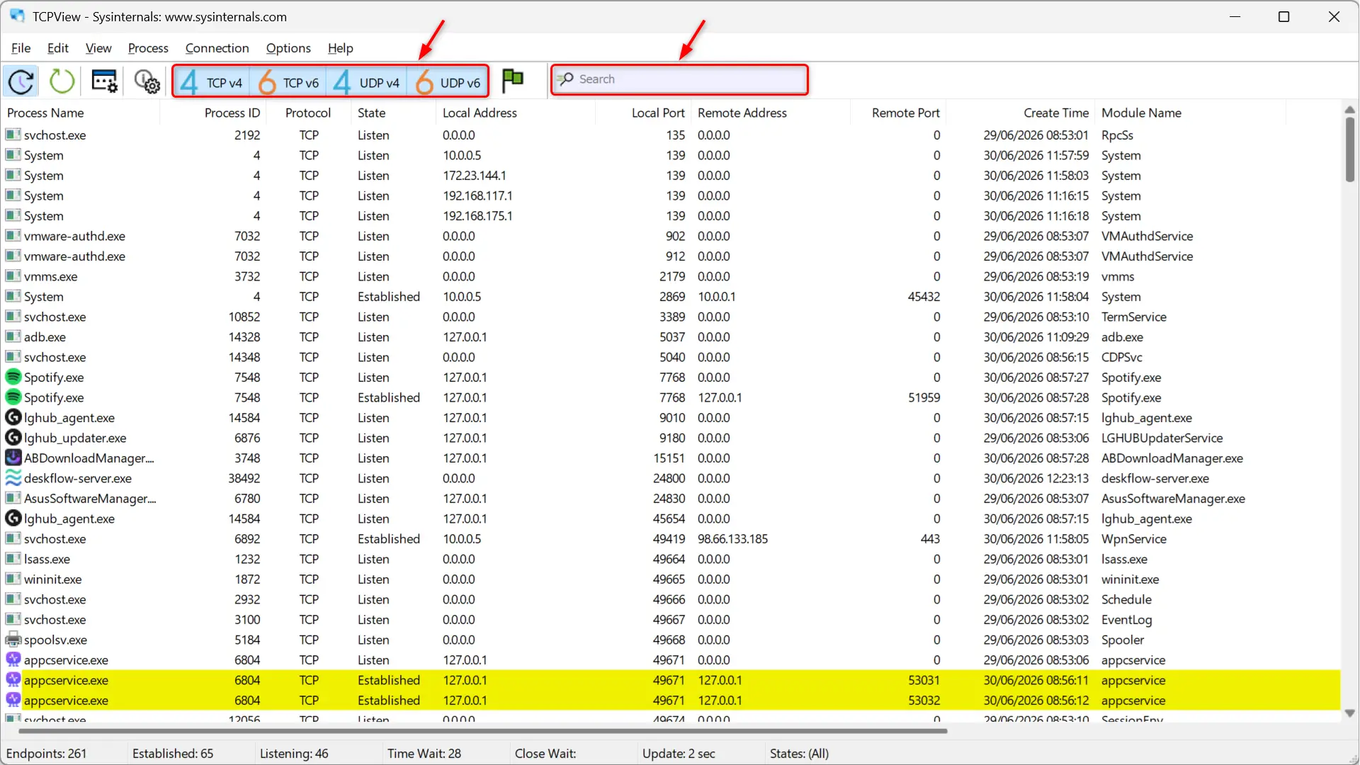 Interface principale TCPView avec filtres TCP et UDP et champ de recherche