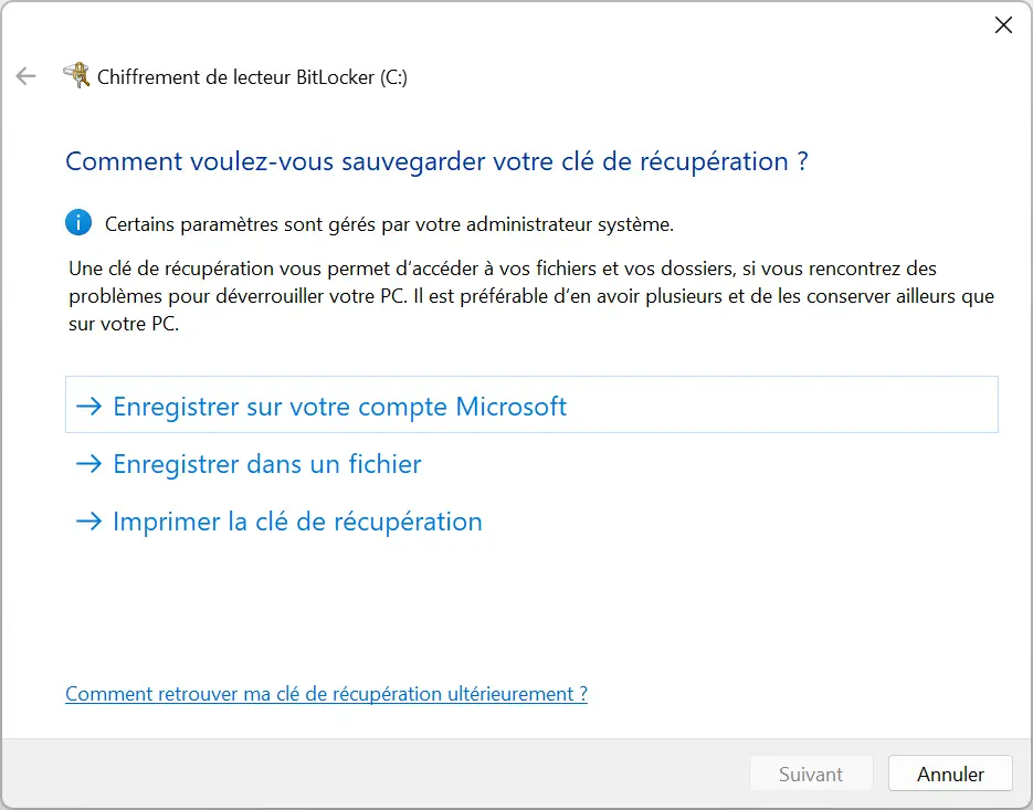 Options de sauvegarde de la clé de récupération BitLocker sous Windows