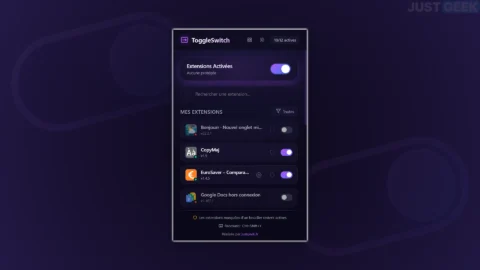 toggleswitch activer desactiver extensions chrome.webp.webp