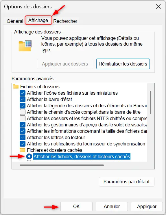 Afficher les fichiers, dossiers et lecteurs cachés à partir des options de dossier Windows 11