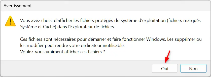 Message d'avertissement de Windows 11 avant d'afficher les fichiers système protégés
