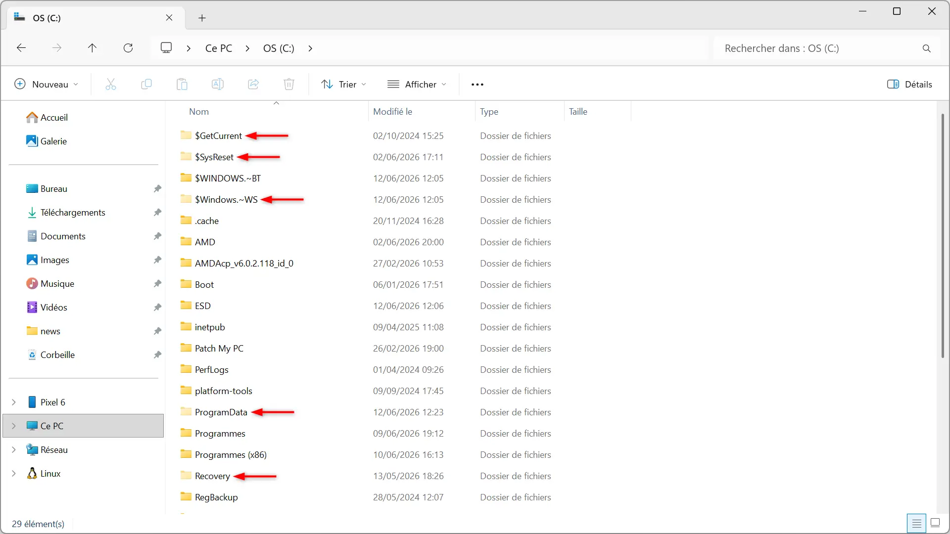Exemple de fichiers et dossiers cachés visibles dans l'Explorateur de fichiers Windows 11 après avoir activé l'option Éléments cachés
