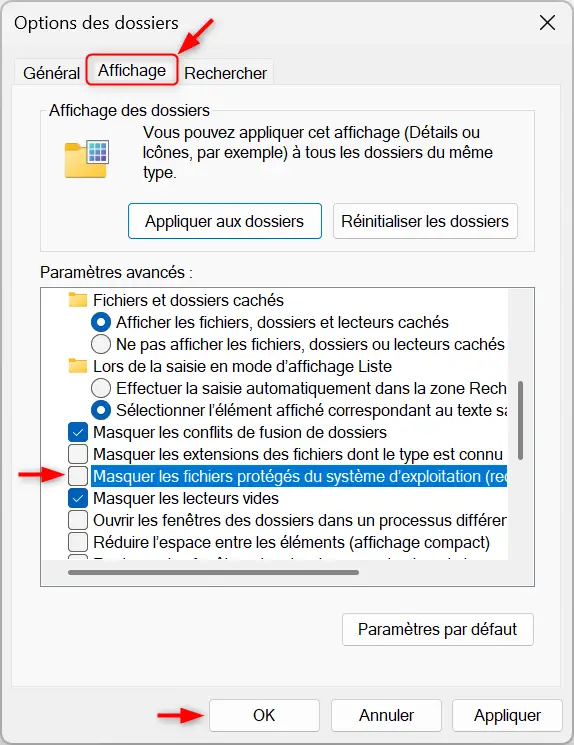 Désactivez Masquer les fichiers protégés du système d’exploitation dans Windows 11