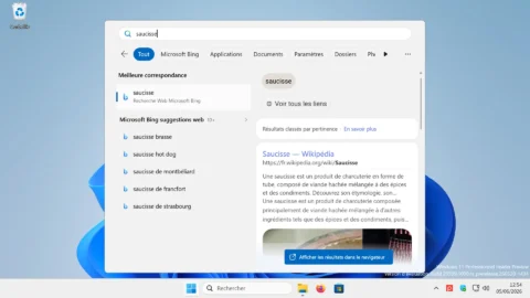 windows 11 option resultats web bing recherche.webp.webp