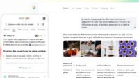Google Recherche Apercus IA Mode IA Francais.jpg