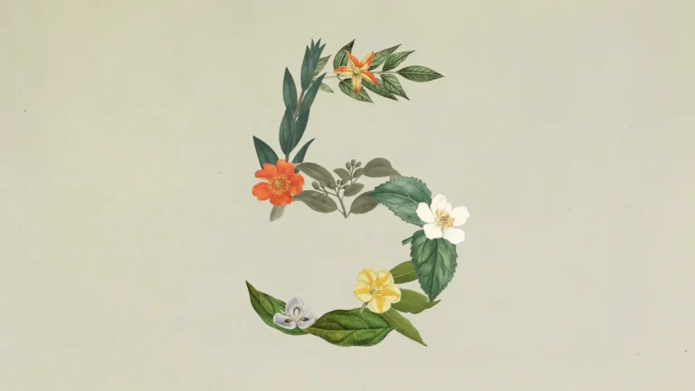 claude sonnet 5 anthropic.webp.webp