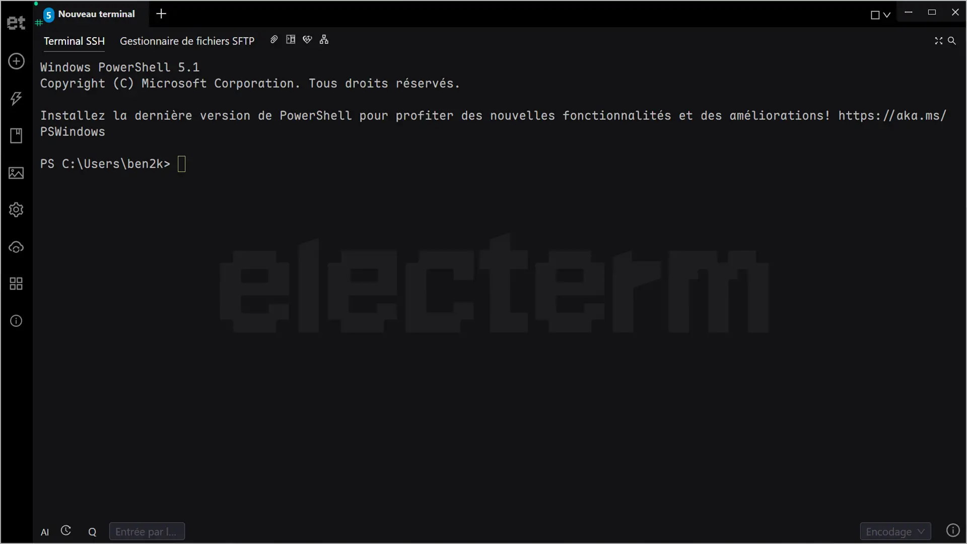 Interface du terminal Electrum sous Windows