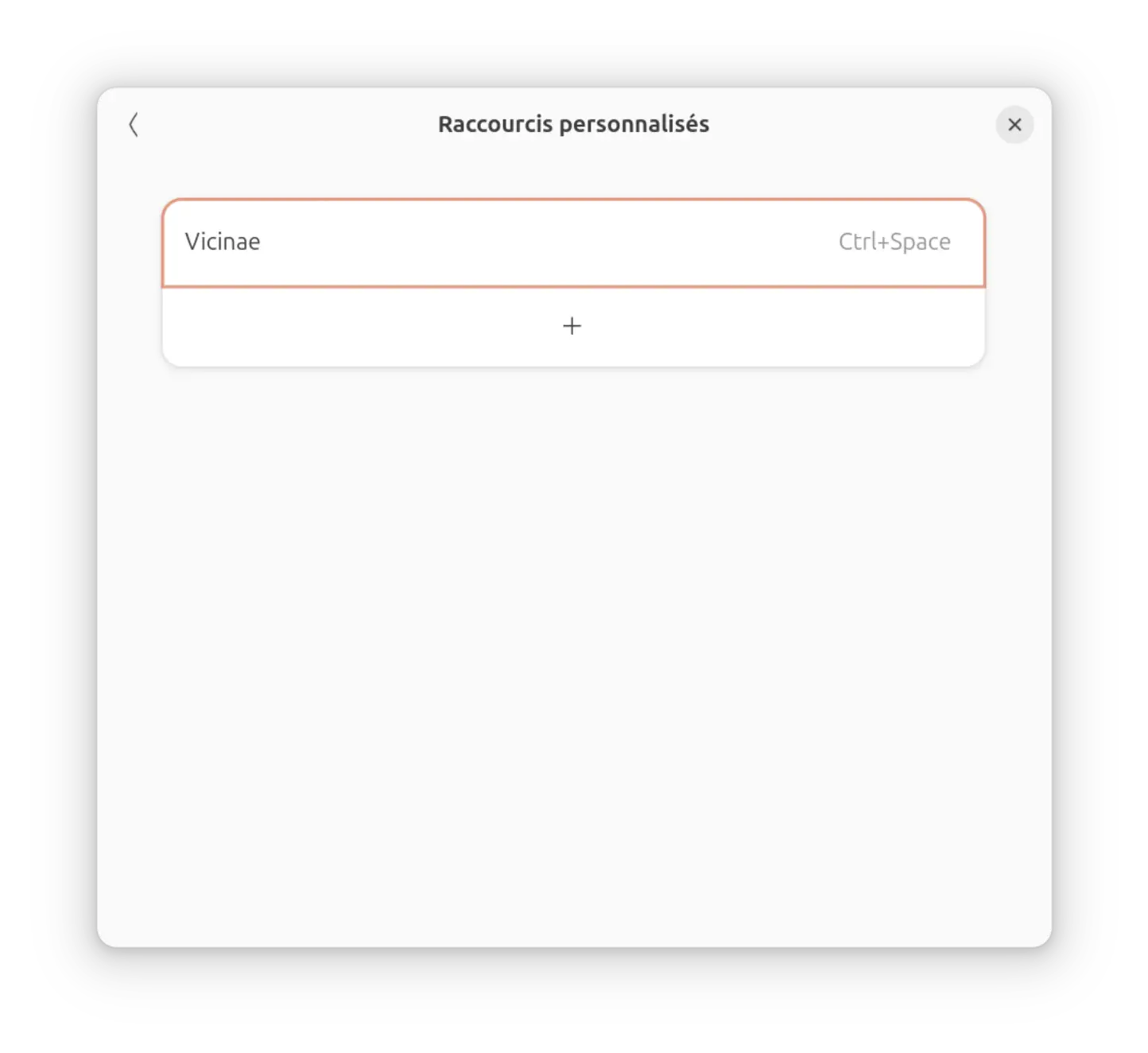vicinae.webp Raccourci clavier personnalisé pour lancer Vicinae