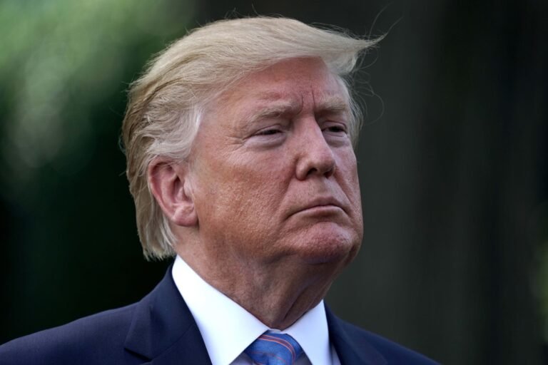 Donald Trump announces a force dedicated to AI in the.jpg