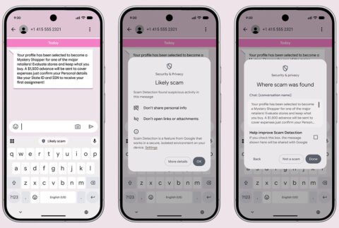 Google Messages Detection Arnaque.jpg