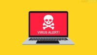 What are the different types of malware.jpg