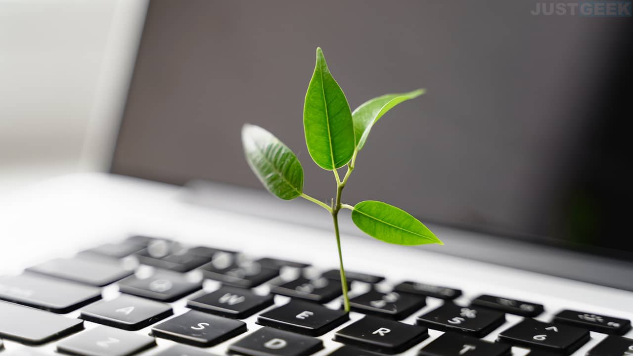 Environmental impact of digital