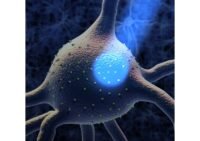 Nobel Prize in Medicine 2026 optogenetics allows neurons to be.jpg