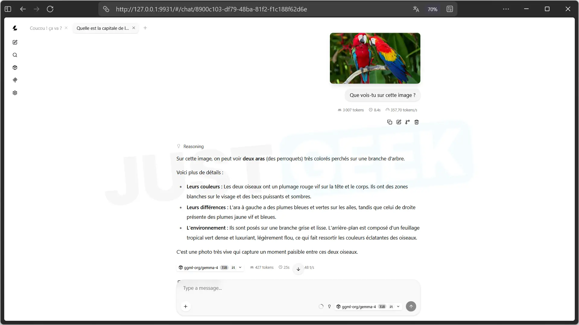 Gemma 4 31B analyzes a photograph of two colorful macaws at Llama Windows and describes the birds, their plumage and their environment