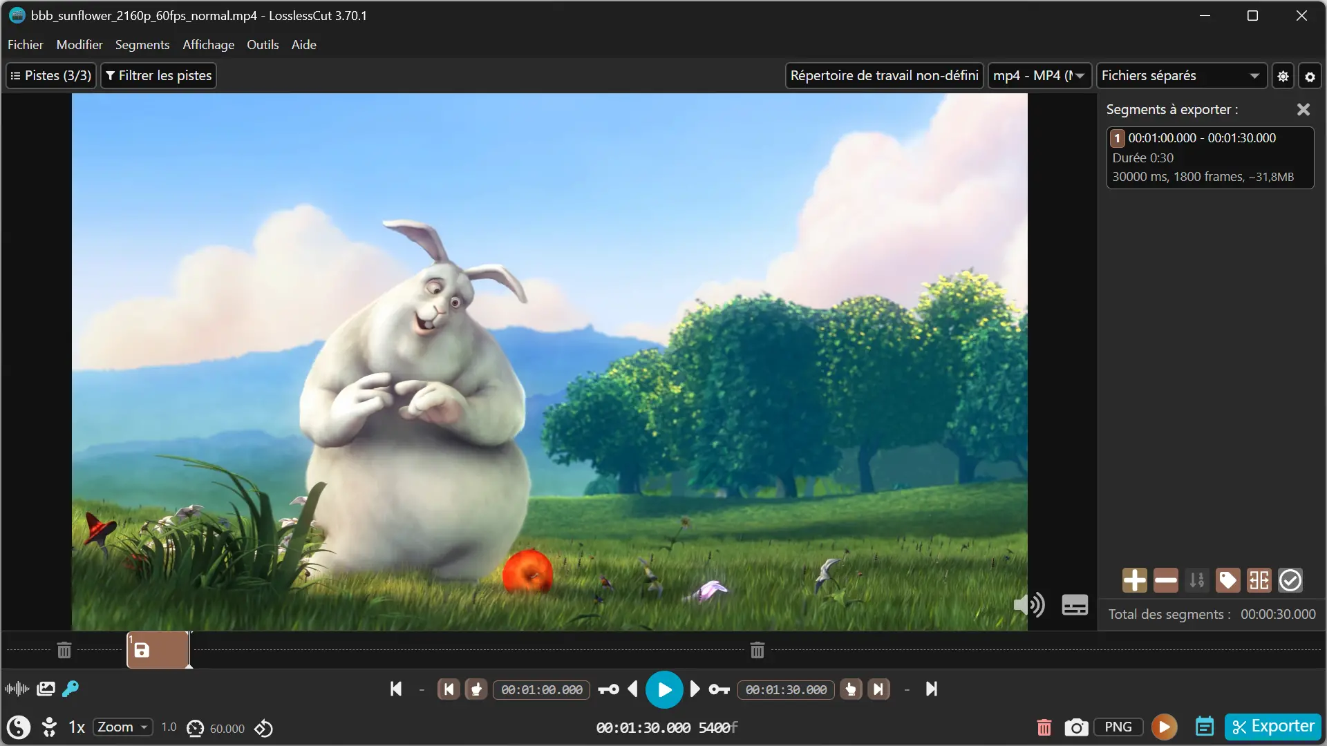 LosslessCut interface showing a video with a 30-second clip selected in the playback bar, ready for export