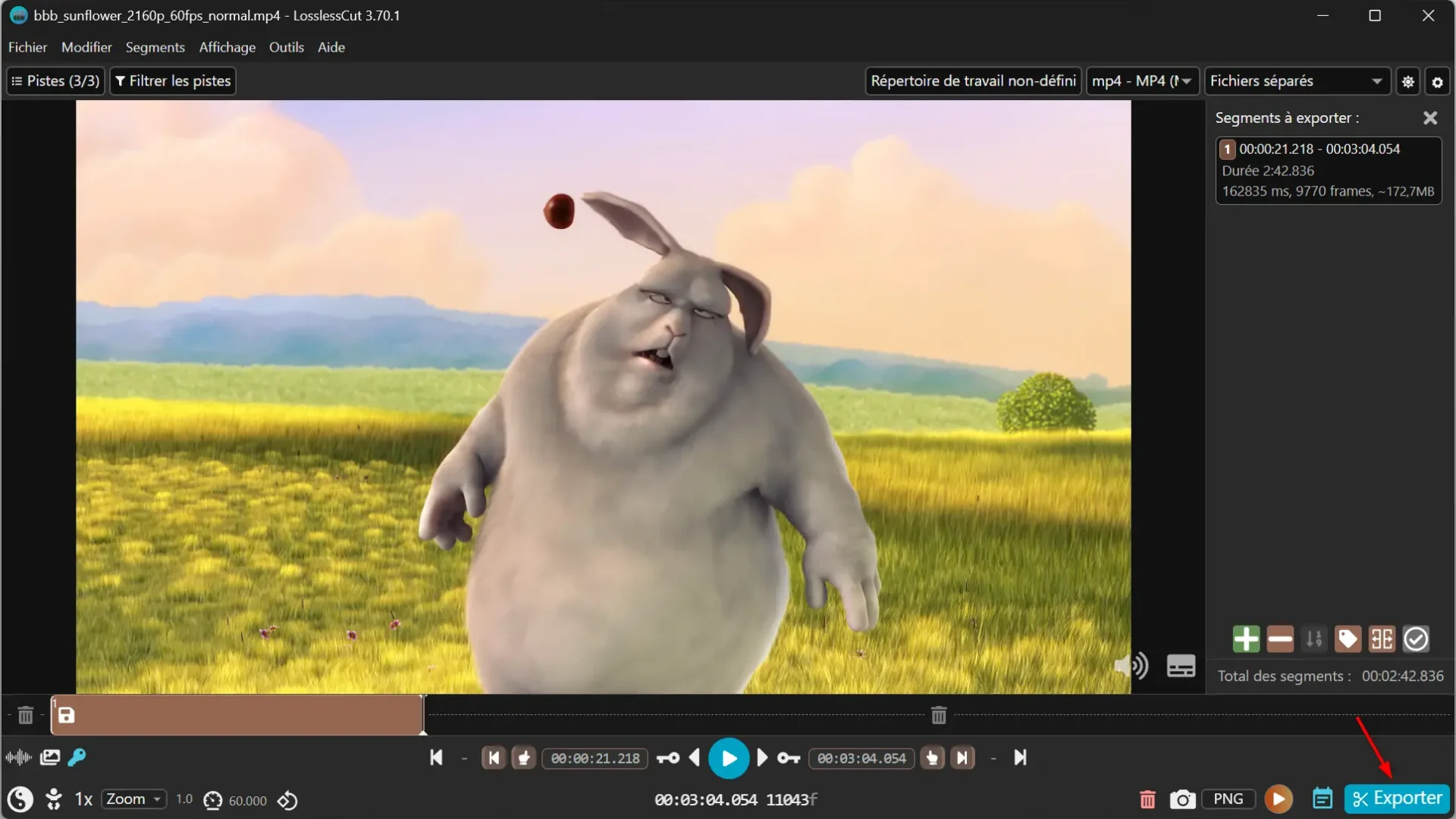 Video clip selected in LosslessCut with the Export button highlighted at the bottom right