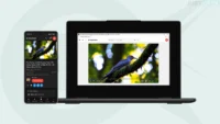 opentubex client youtube sans publicite.webp