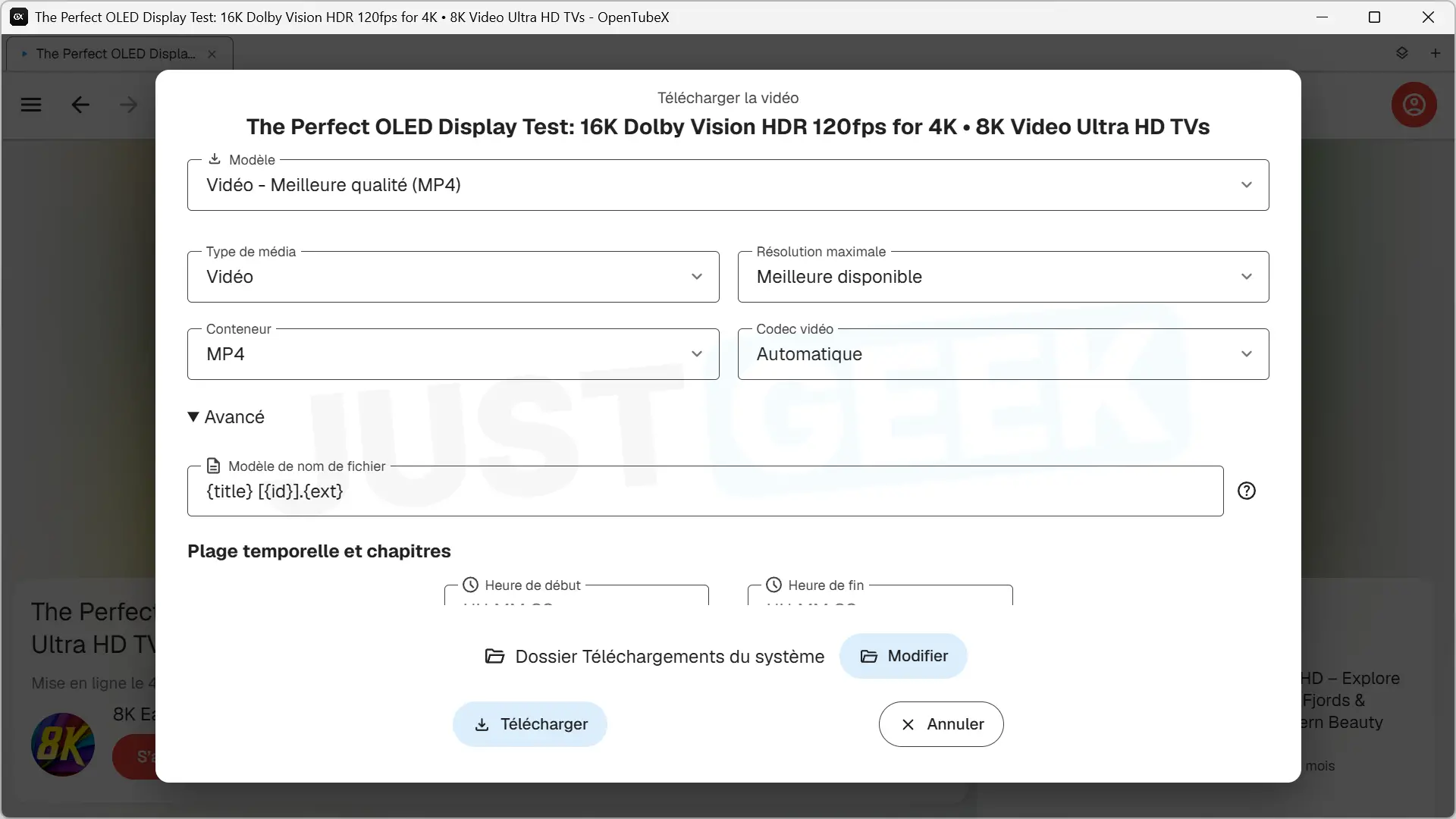 OpenTubeX download window with options for video quality, MP4 format, codec and file name customization