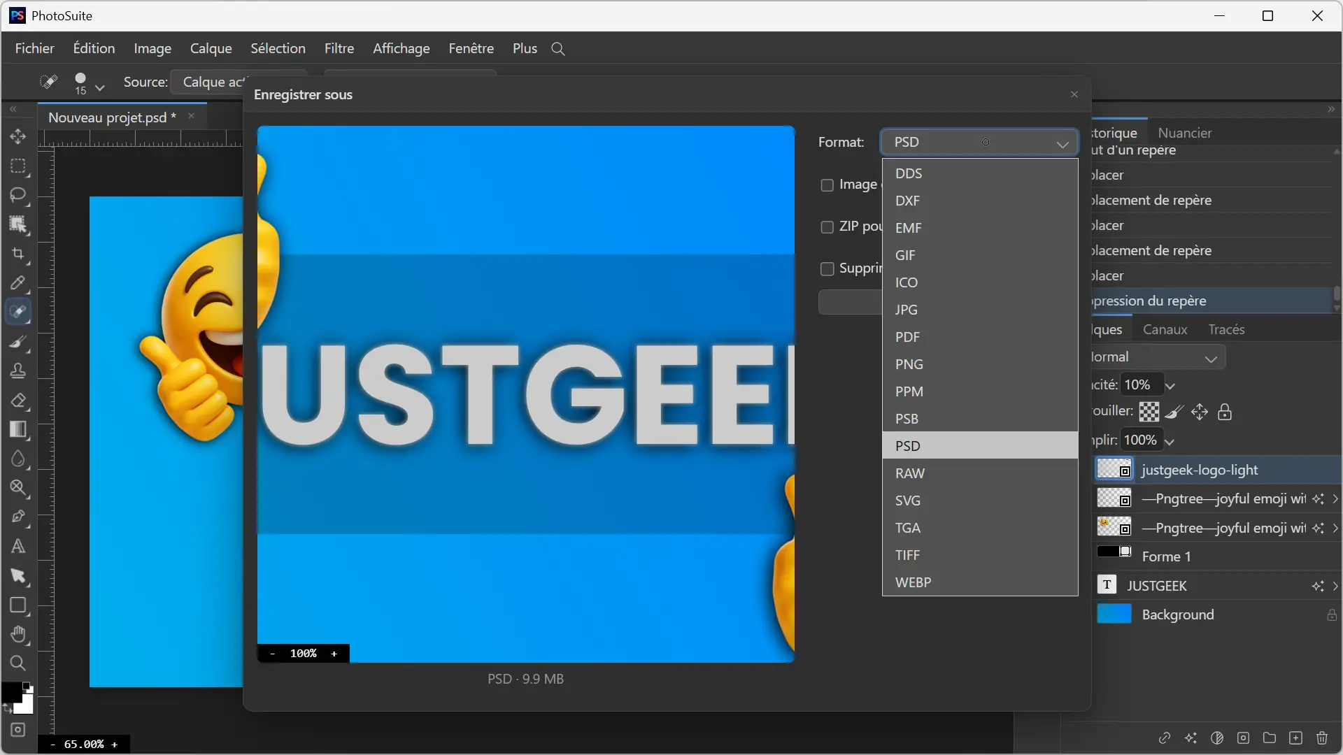 Recording formats offered by PhotoSuite, including PSD and PSB