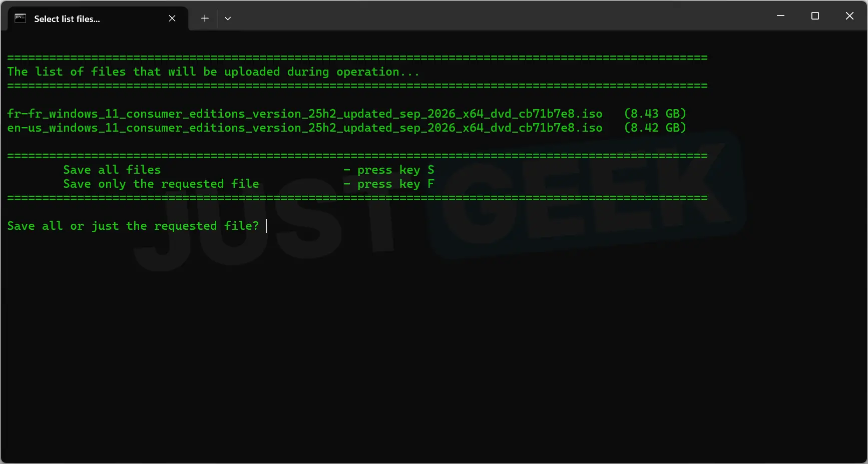 rg-adguard terminal offering to download only the French ISO with the F key