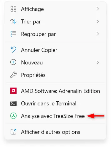 “Scan with TreeSize Free” option in the Windows 11 File Explorer context menu